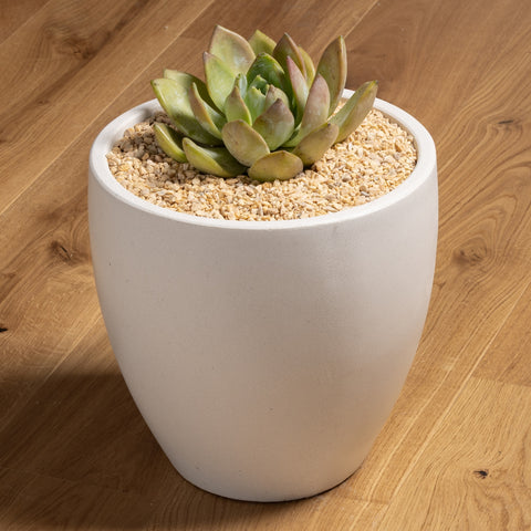 Mini Hazelnut Marble Pebbles 4-6mm