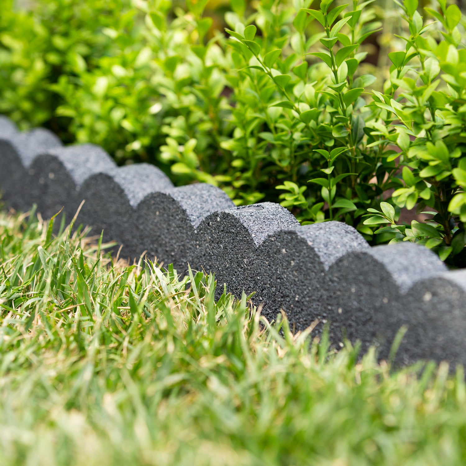 Scallop Edging