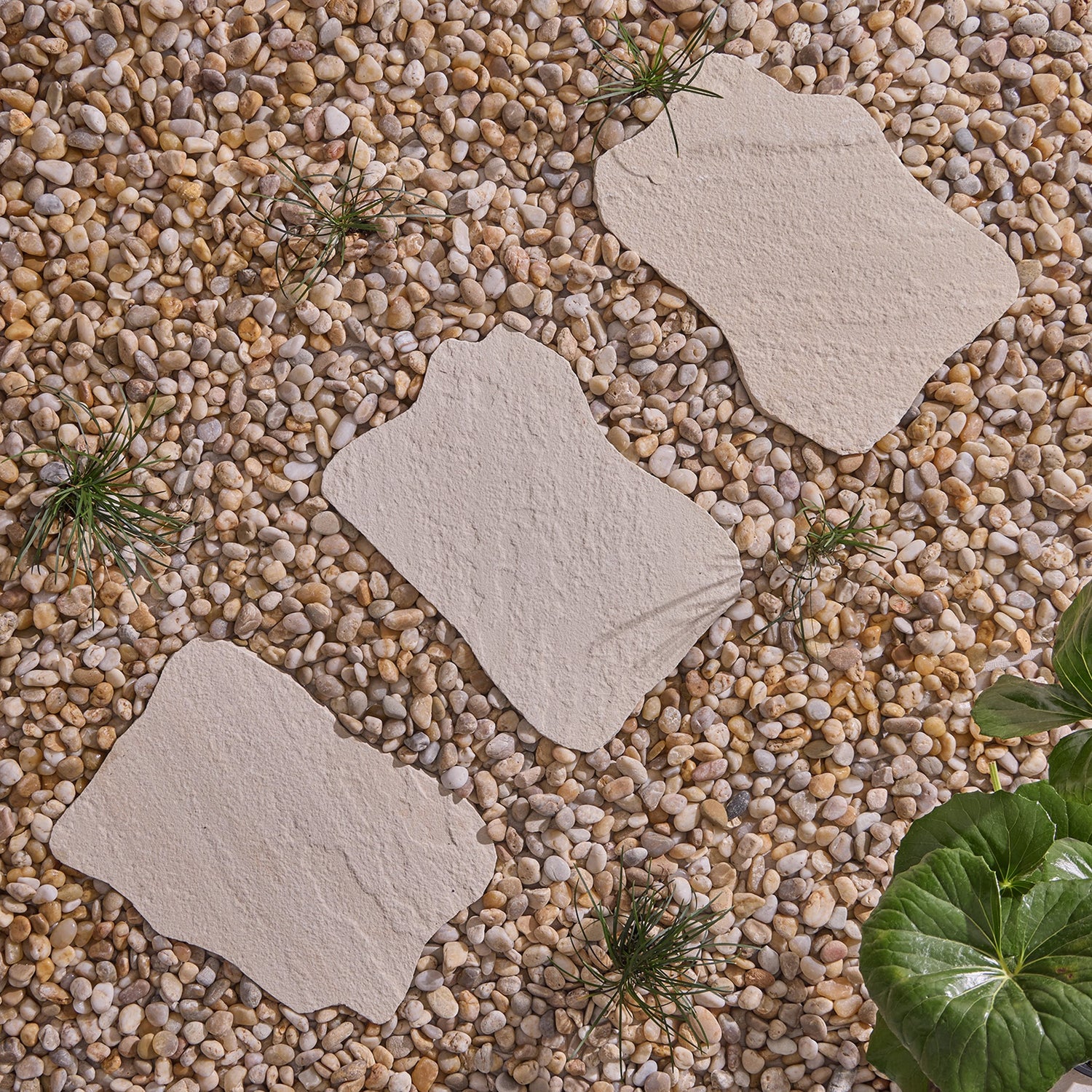 Dune Sandstone Stepping Stone