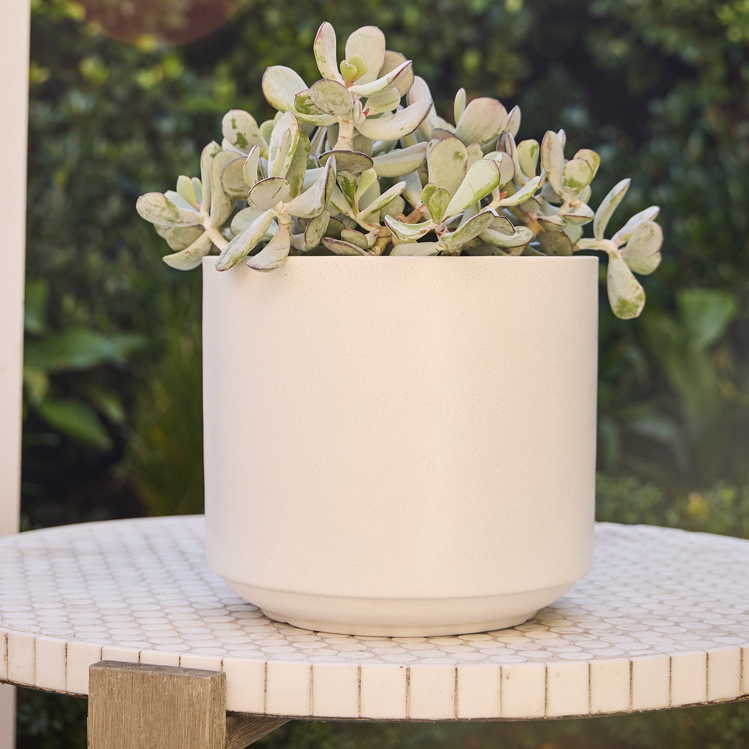 Harper Drum Planter in White