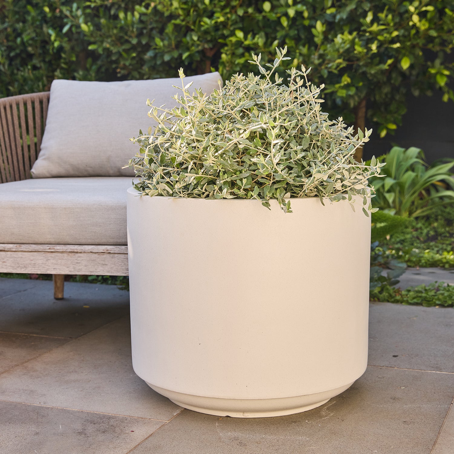 Harper Drum Planter in White