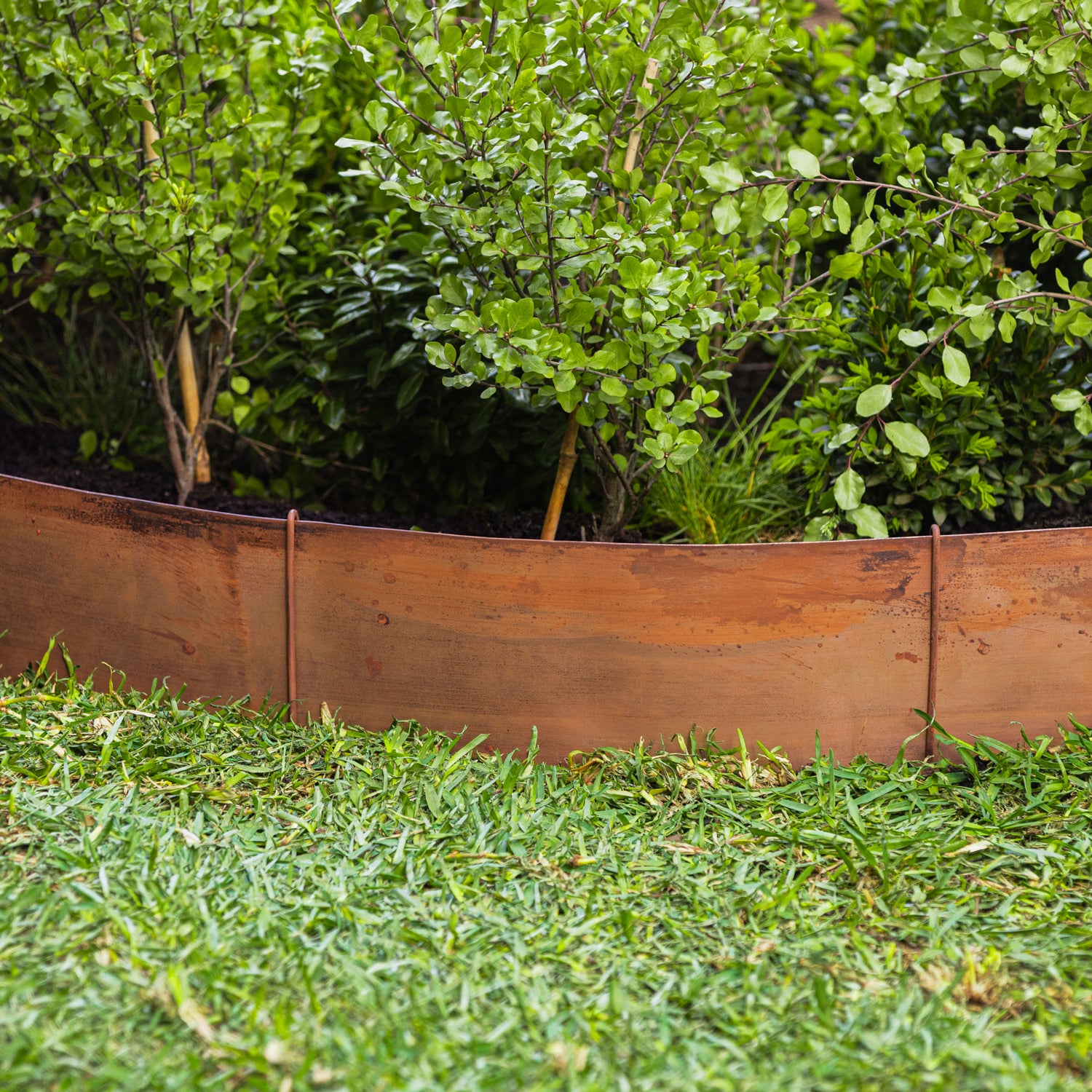Flat Rust Metal Garden Edging