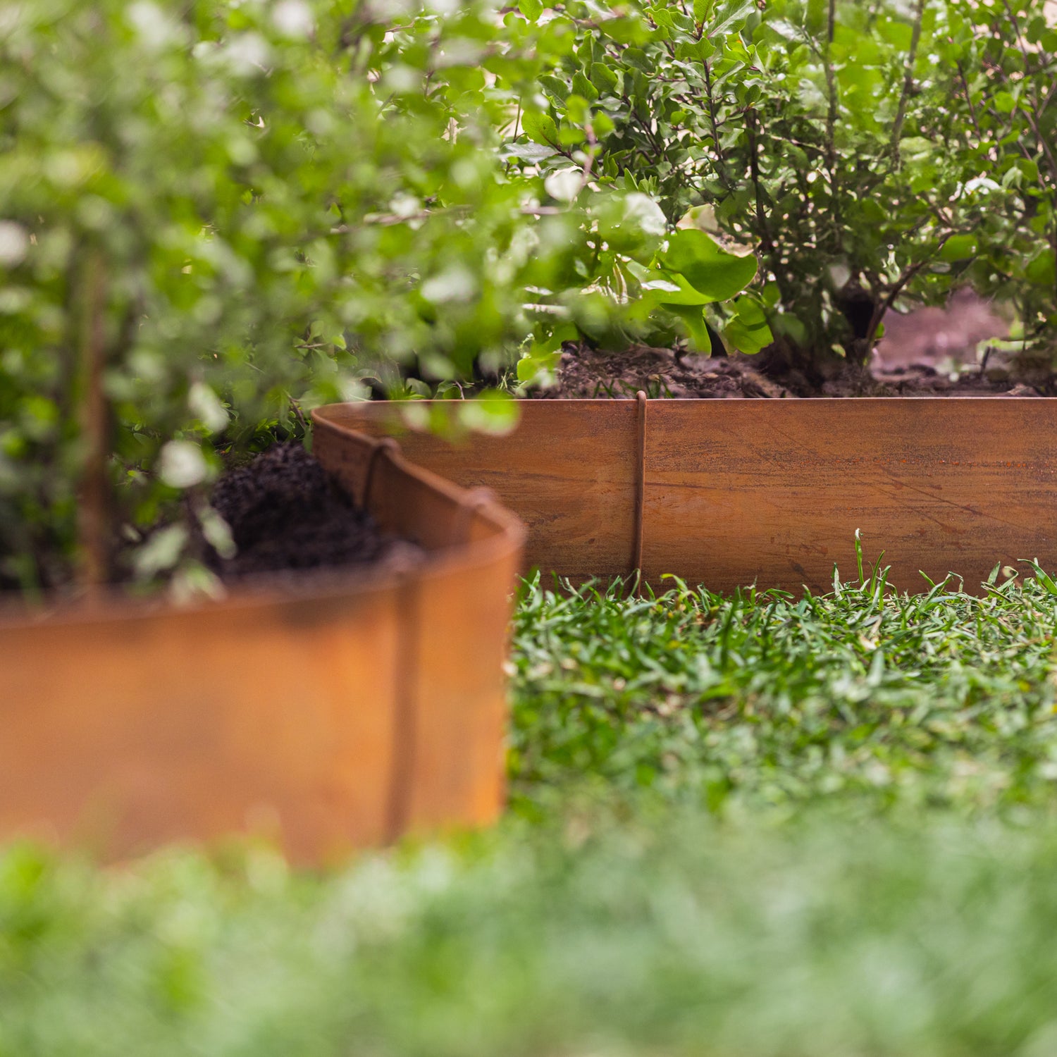 Flat Rust Metal Garden Edging