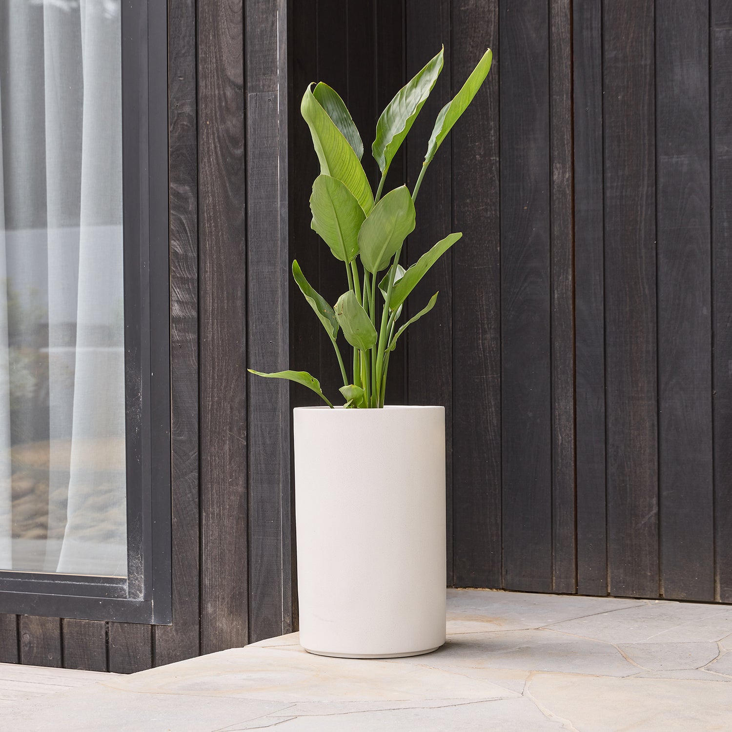 Harper Cylinder in White