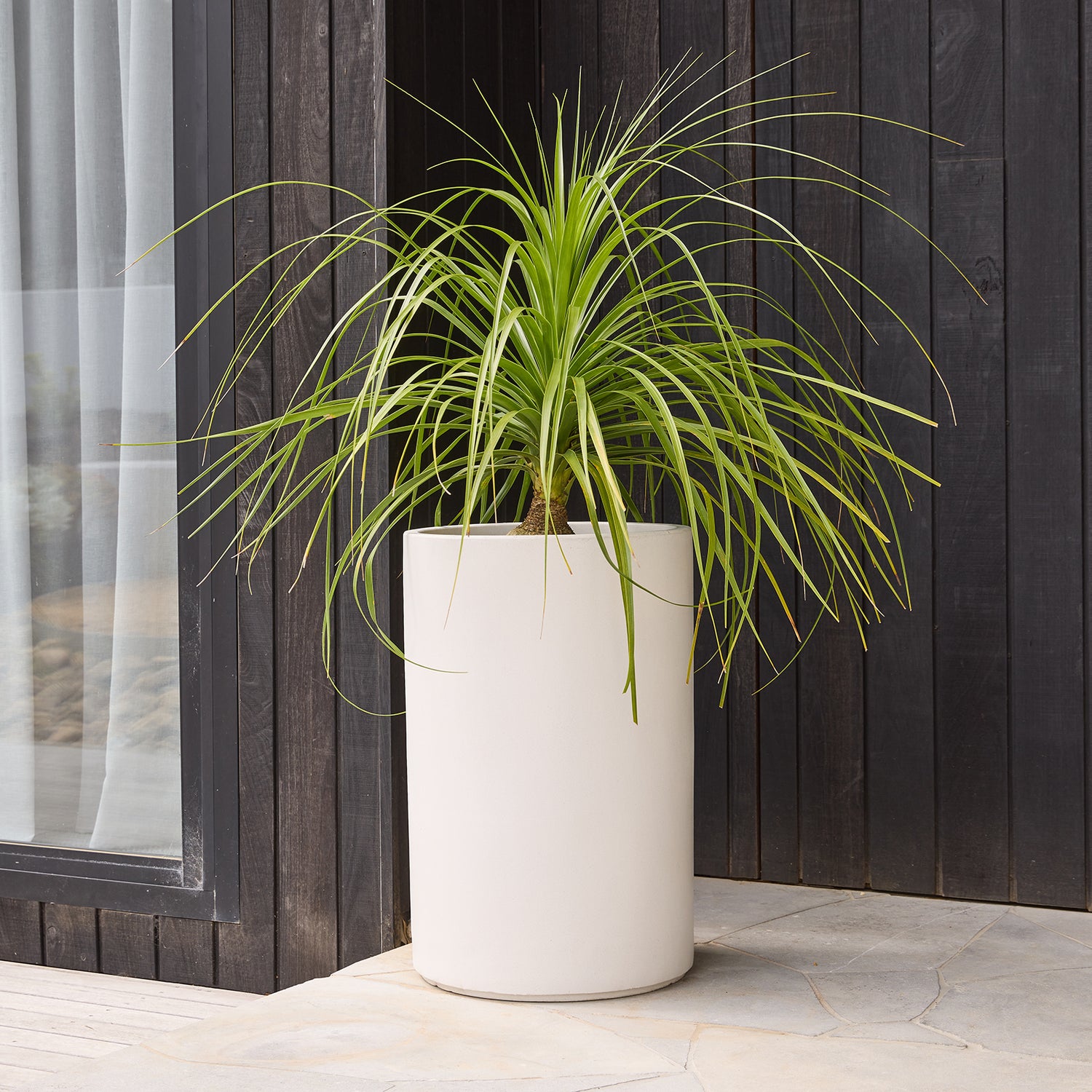 Harper Cylinder in White