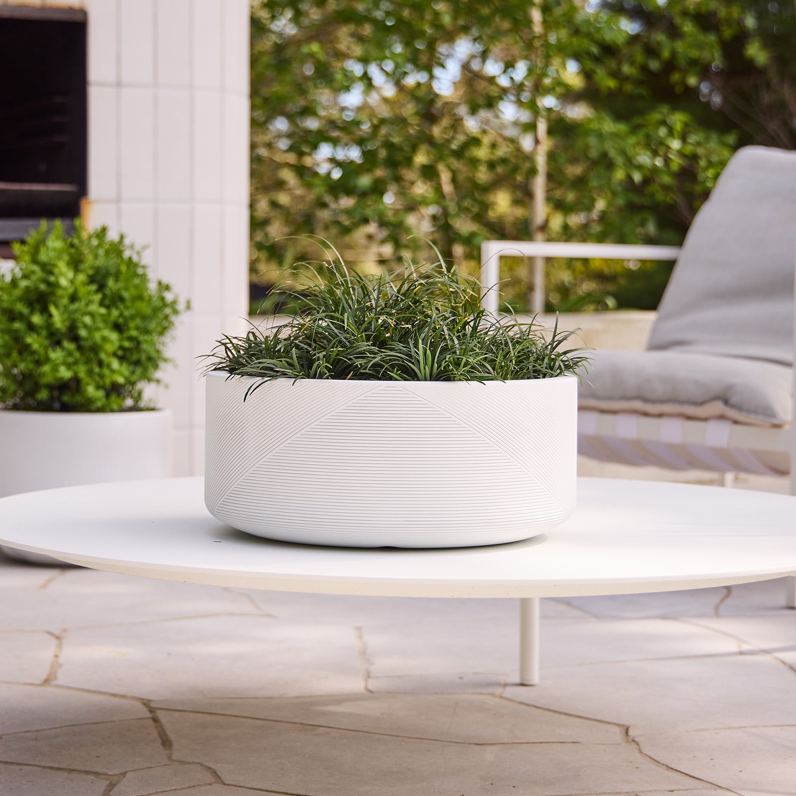 large indoor plant pots canada Gavin Bowl in White – Tuscan Path