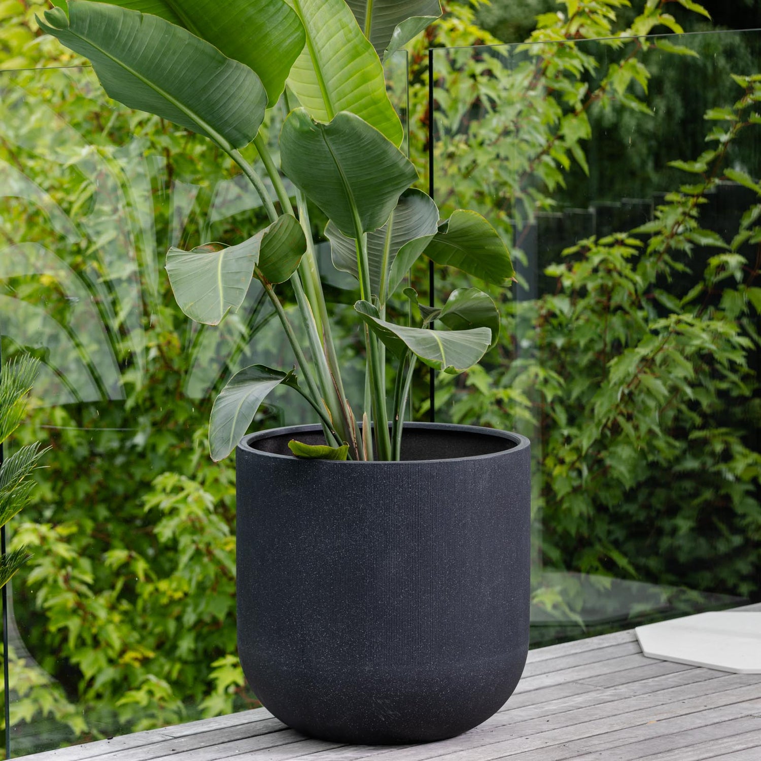 Apex Upot in Charcoal