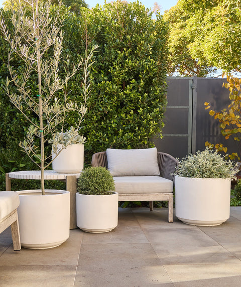 Harper Drum Planter in White