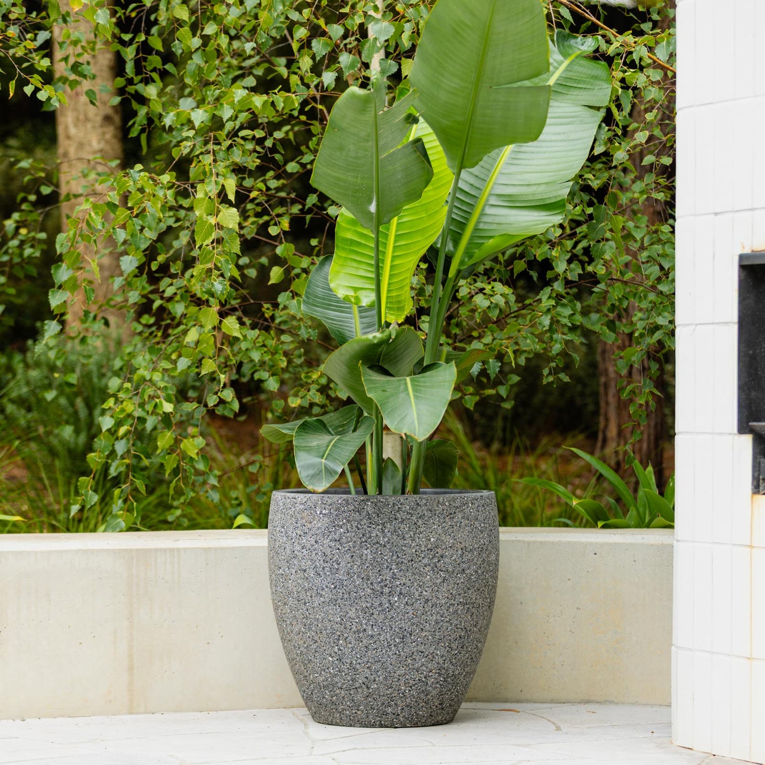 Harper Egg Pot in Dark Grey Pebble