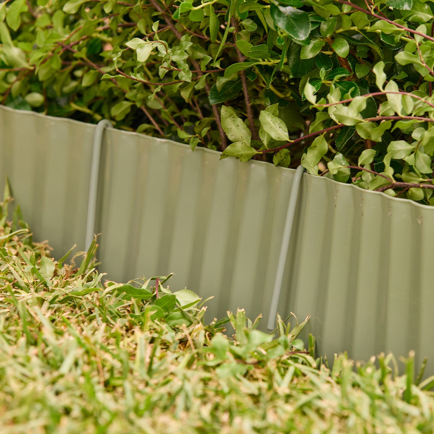 Pale Eucalypt Edging Pegs 280mm 10pk