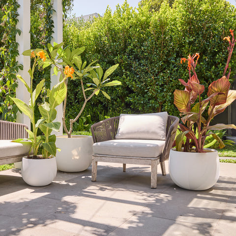 Gavin Belly Pot in White