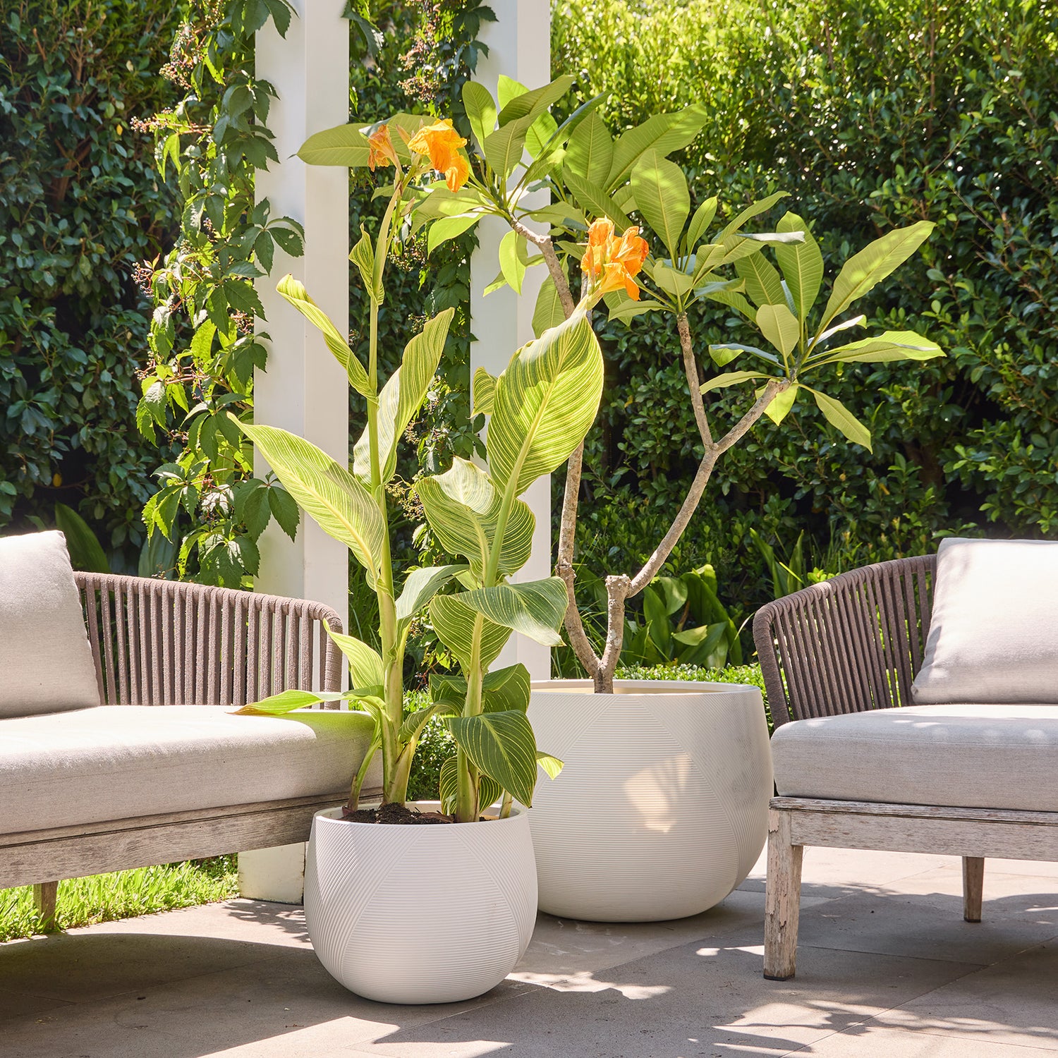 Gavin Belly Pot in White